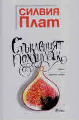 Стъкленият похлупак