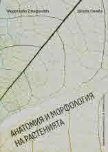 Анатомия и морфология на растенията