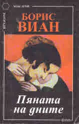 Пяната на дните