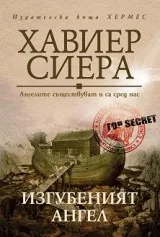Изгубеният ангел