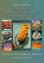 Тъкани от средновековен Дръстър. Некропол на църква № 2 | Textiles from Medieval Drastar. Church № 2 Cemetery