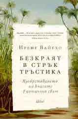 Безкраят в стрък тръстика