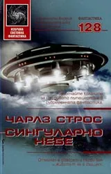 Сингуларно небе