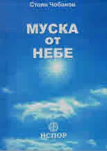 Муска от небе