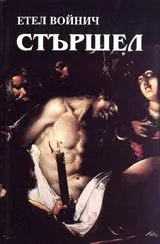 Стършел