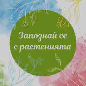 Запознай се с растенията