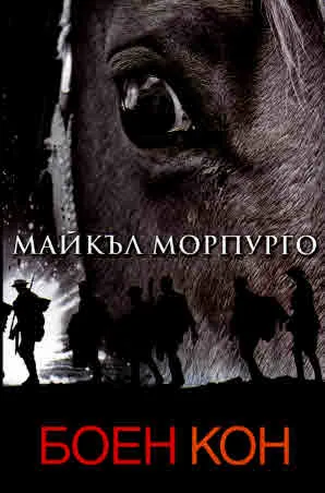 Боен кон