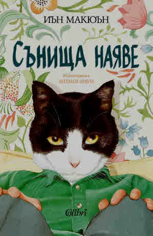 Сънища наяве