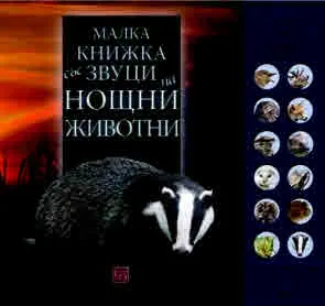Малка книжка със звуци на нощни животни