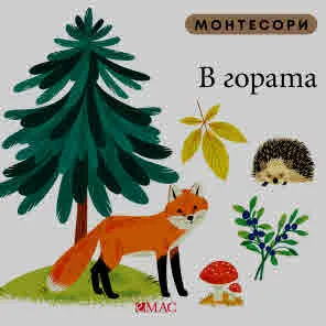 Монтесори: В гората