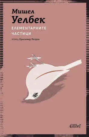 Елементарните частици