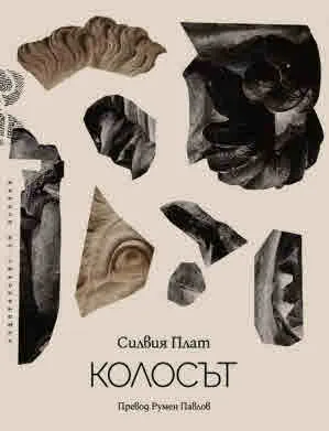 Колосът