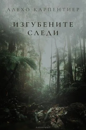 Изгубените следи