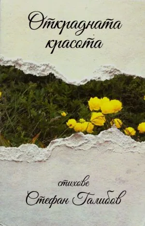 Открадната красота. Стихове