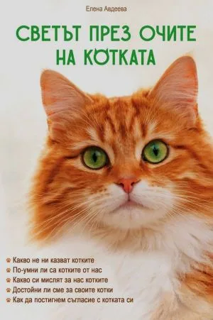 Светът през очите на котката