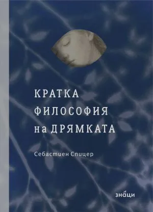 Кратка философия на дрямката