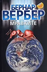 Мравките