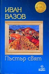 Пъстър свят
