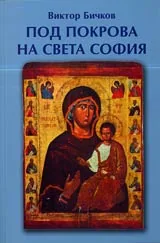 Под покрова на света София • Духовно-естетическите основи на иконата