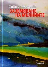 Заземяване на мълниите