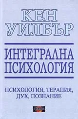 Интегрална психология-Съзнание, дух, психология, терапия