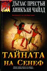 Тайната на Сенеф